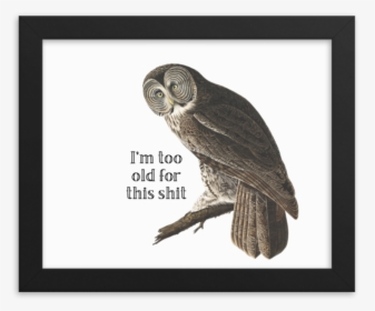 Too Old Framed Poster"  Srcset="data - Effin Birds Happy Birthday, HD Png Download, Free Download